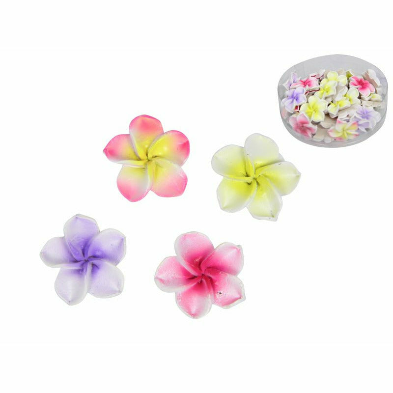 Mini Frangipani at Dollars and Sense