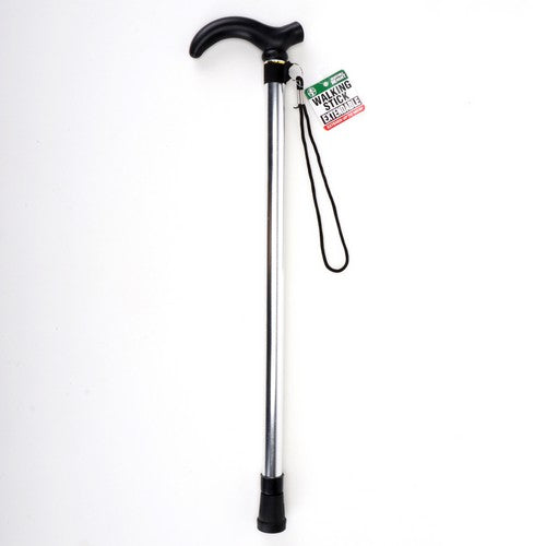 Walking Stick - Extendable - Dollars and Sense