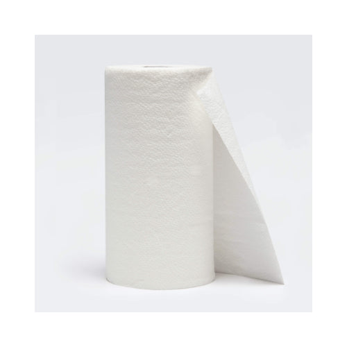 Paper Towels - Dollars and Sense