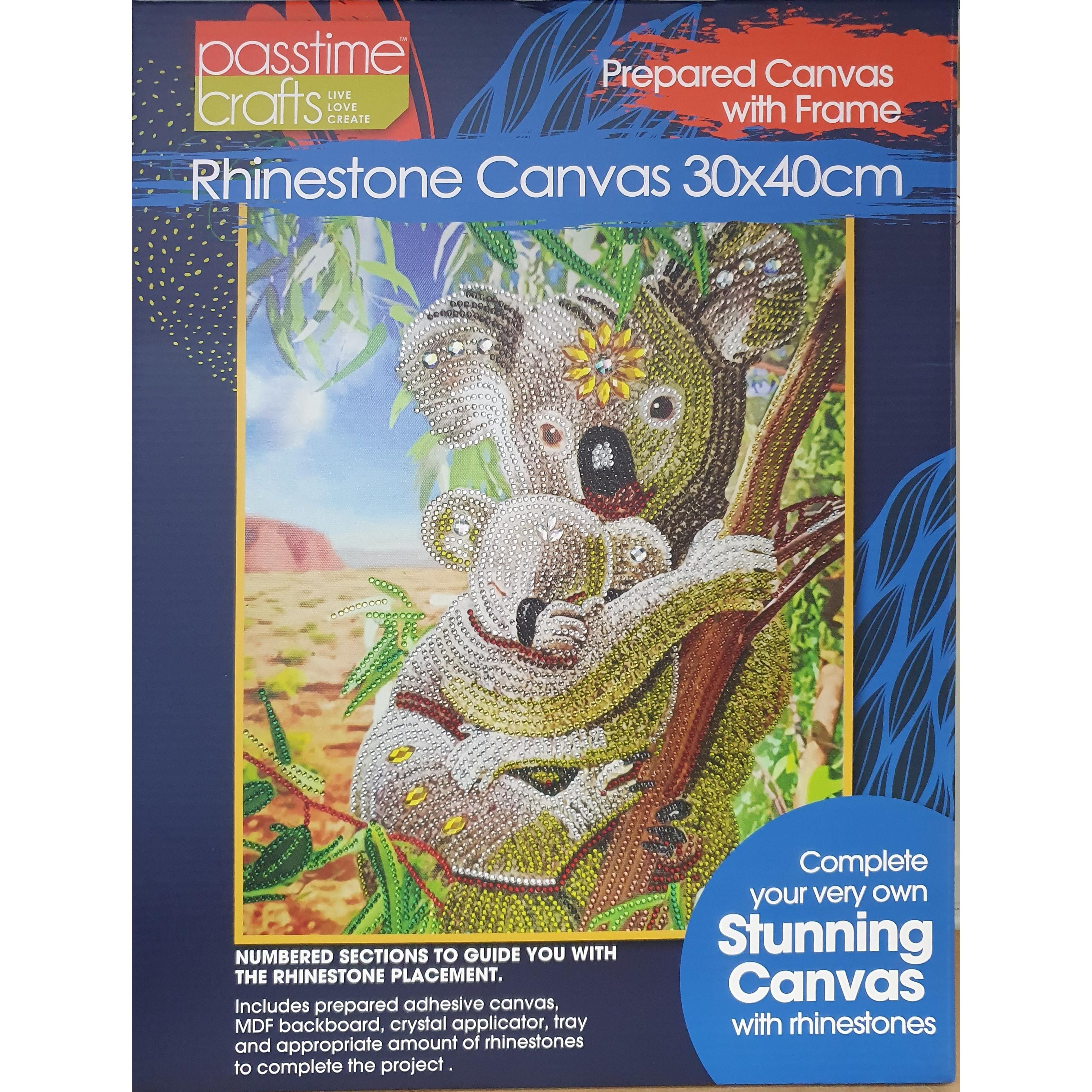 Rhinestone - Beaded Canvas - Dollars and Sense