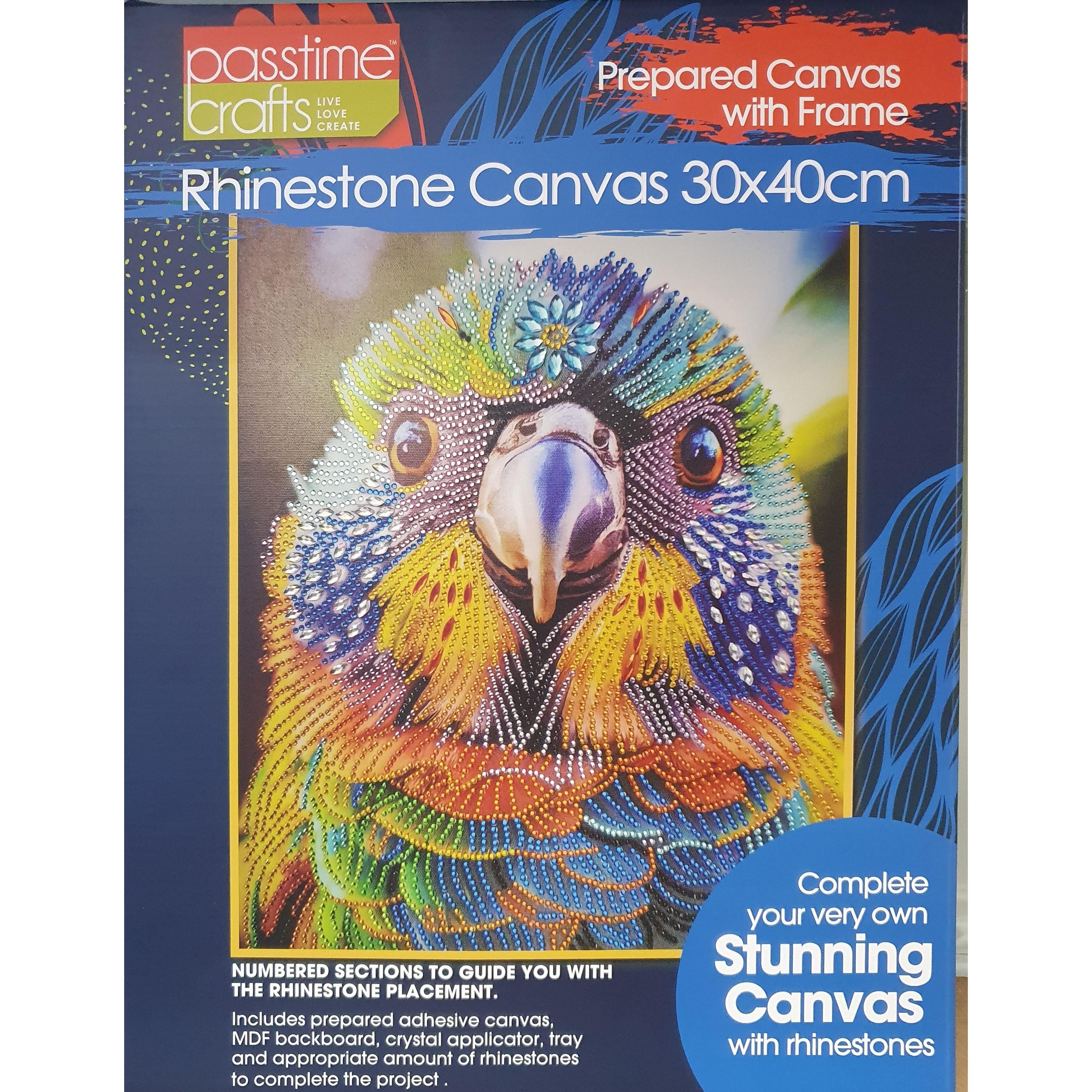 Rhinestone - Beaded Canvas - Dollars and Sense