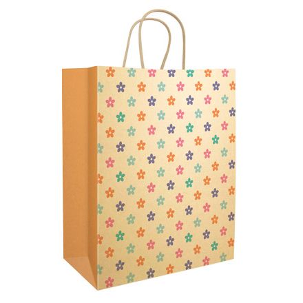 Gift Bag Kraft 240x290x120mm LG 1pk Flowers