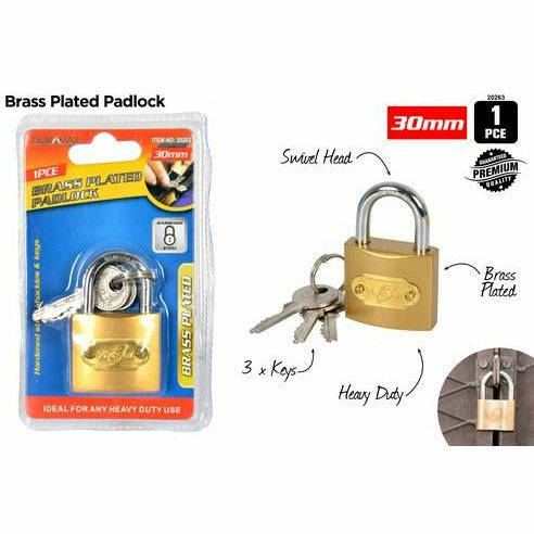 Brass Plated Padlock - Dollars and Sense