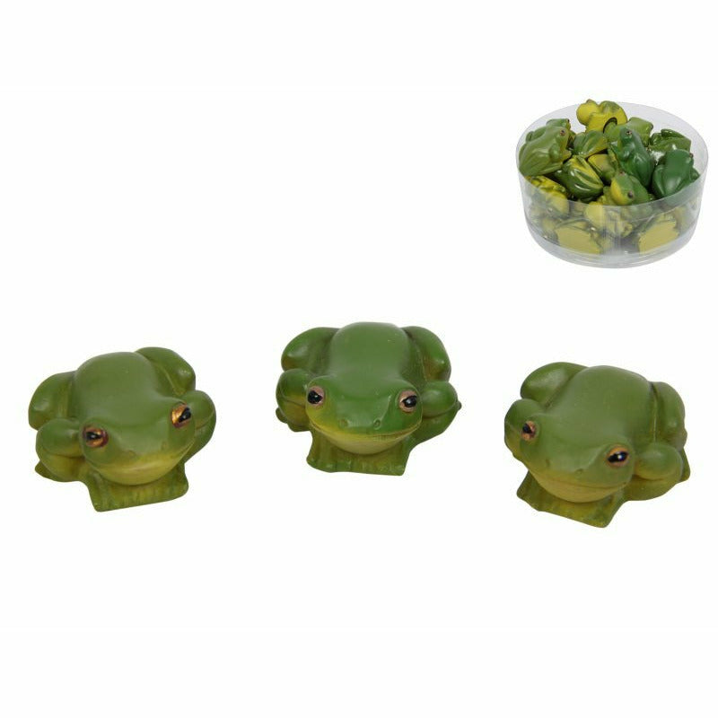Miniature Green Tree Frog at Dollars and Sense - alternate view 2