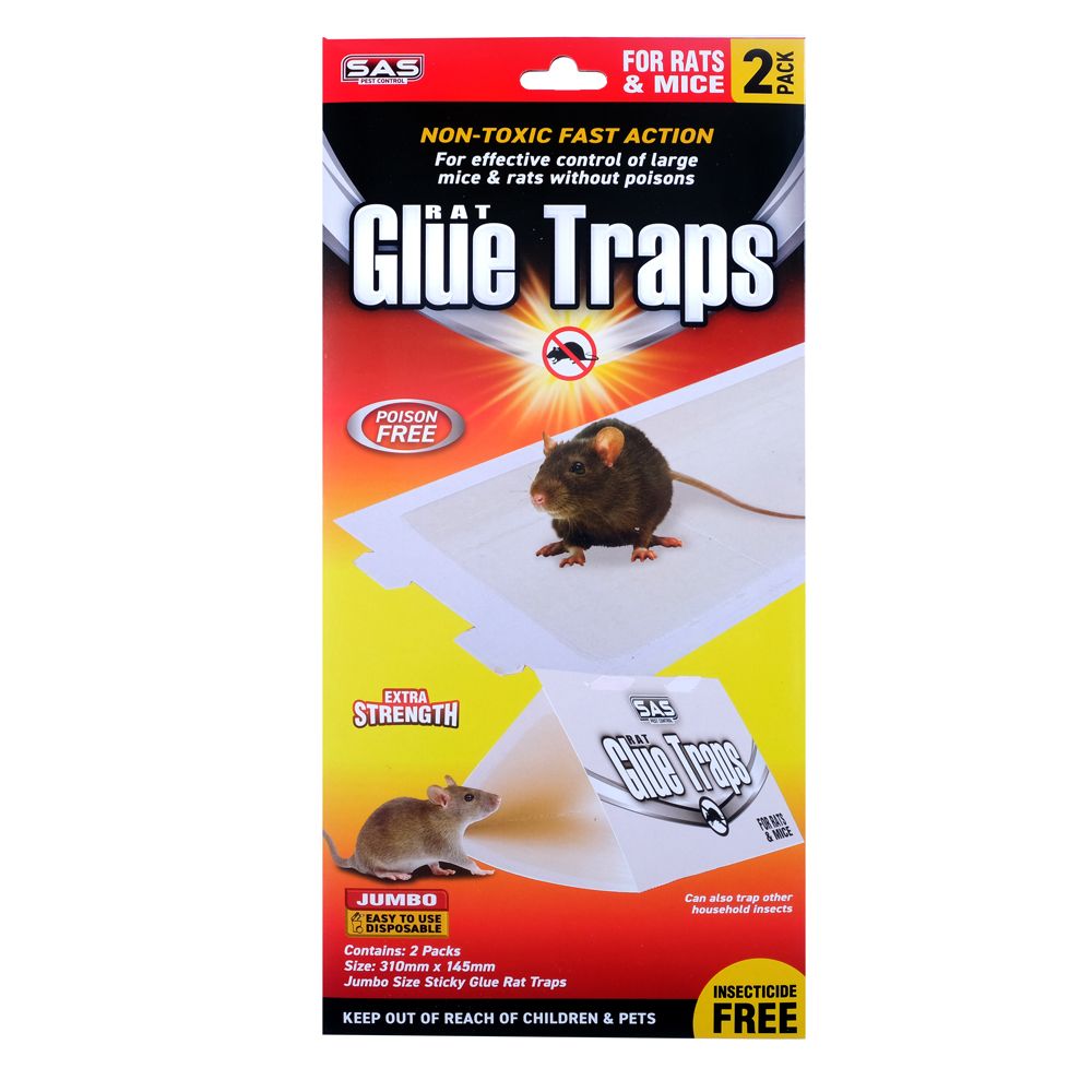 Jumbo Glue Trap Rat - Mouse - Dollars and Sense