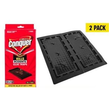 Rodent Glue Traps Medium 20x11cm 2pack - Dollars and Sense