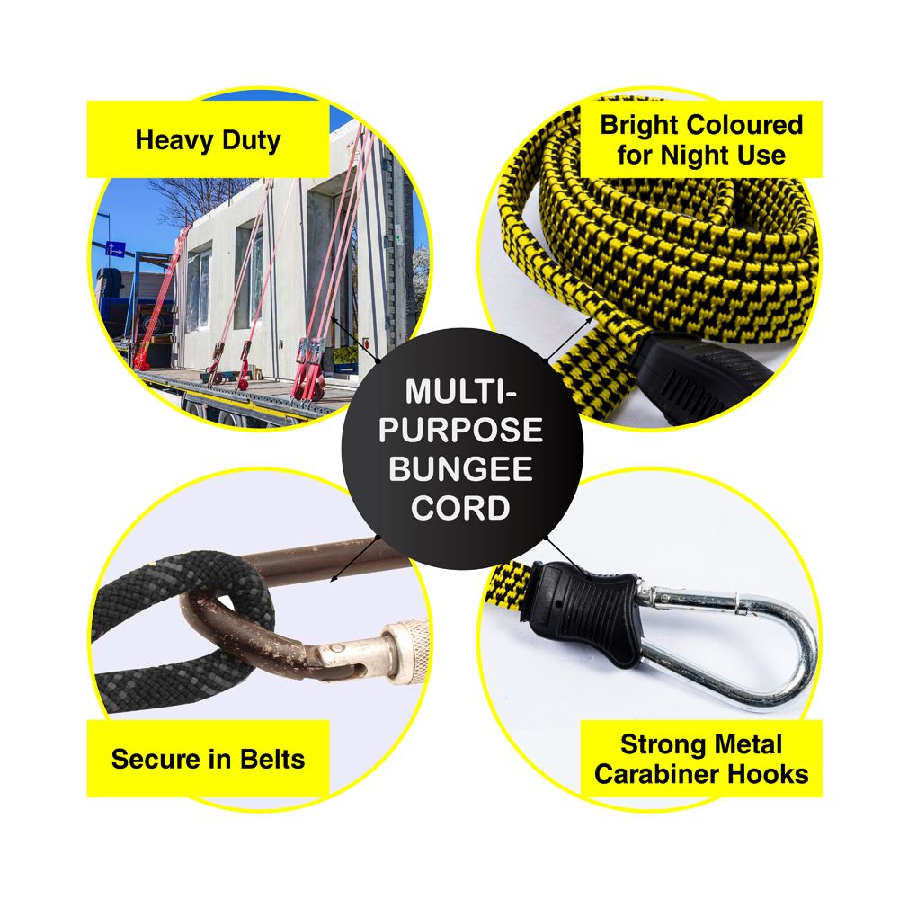 Flat Bungee Cord Strap - Heavy Duty - Dollars and Sense