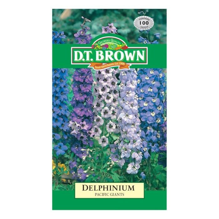 DT Brown Delphinium Pac. Giants Seeds