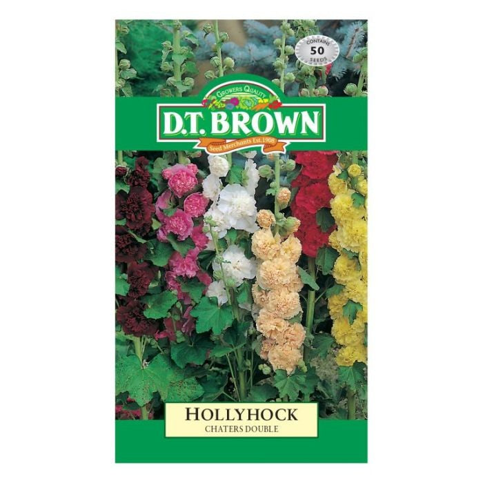 DT Brown Hollyhock Chaters Double Seeds