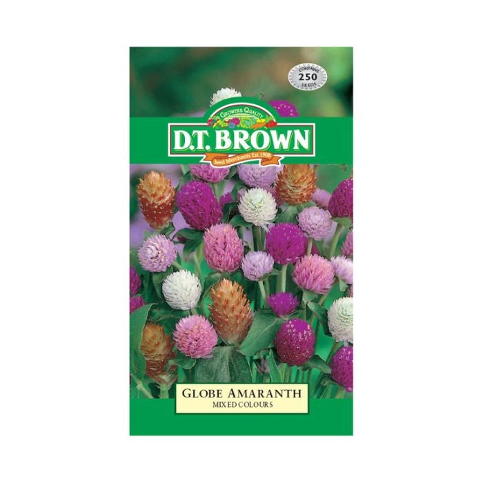 DT Brown Globe Amaranth Mixed Seeds