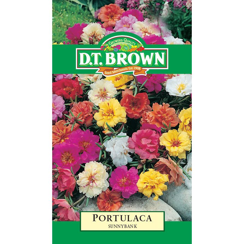 Portulaca Sunnybank Seeds - Dollars and Sense