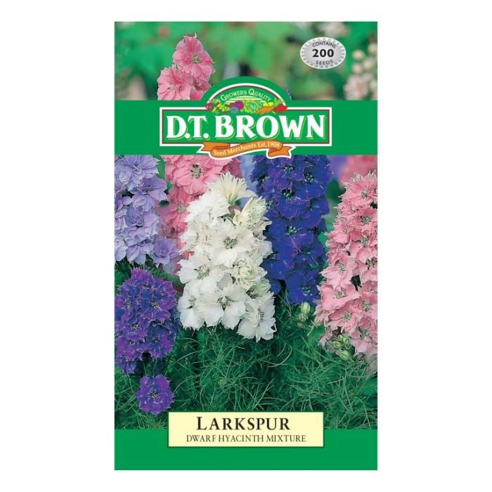 DT Brown Larkspur Hyacinth Dwarf Seeds