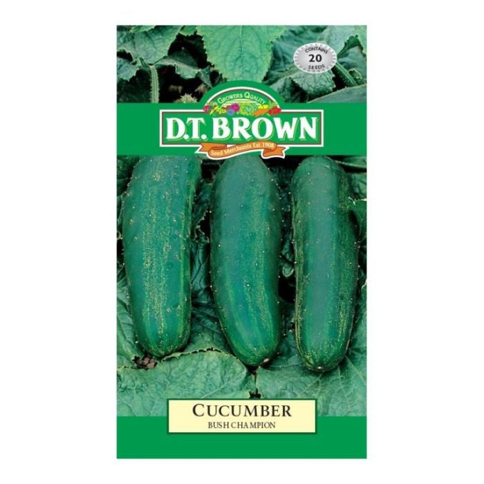 DT Brown Cucumber Bush Champion Seeds