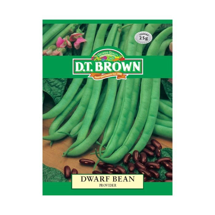 DT Brown Dwarf Bean Provider Seeds