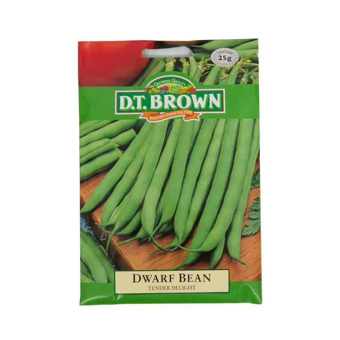 DT Brown Dwarf Bean Tender Delight Seeds