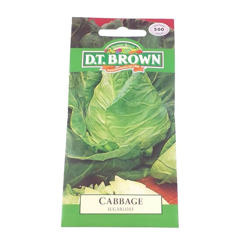 DT Brown Cabbage Sugarloaf Seeds