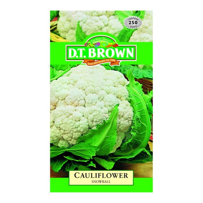 DT Brown Cauliflower Snow Ball Seeds