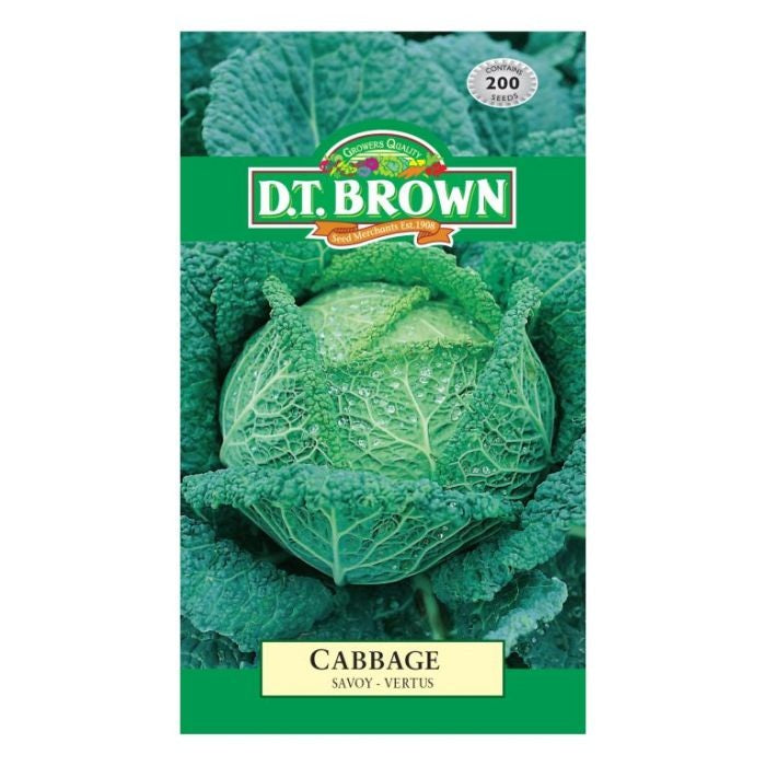 DT Brown Cabbage Vertus Seeds