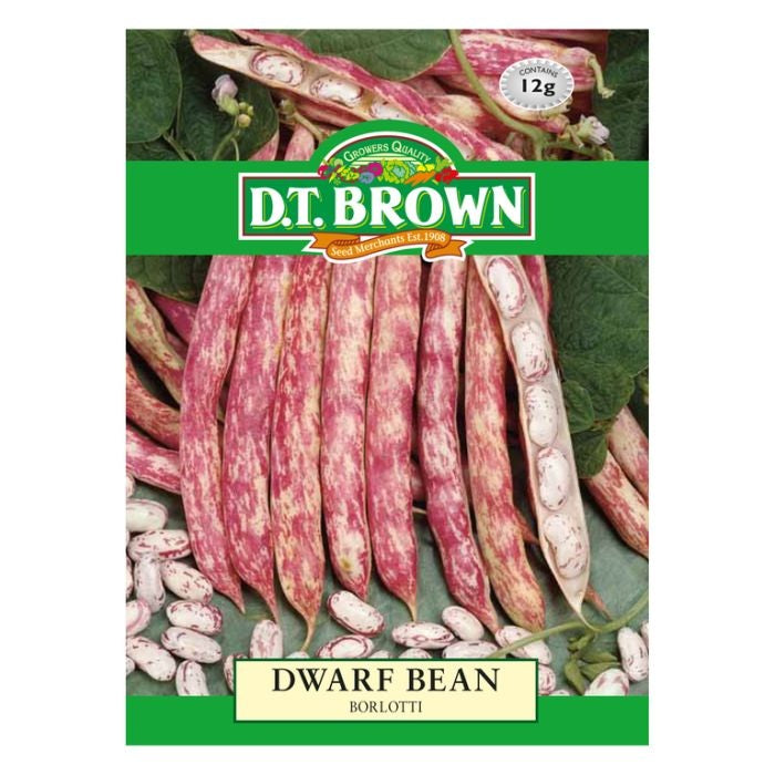 DT Brown Dwarf Bean Borlotti Seeds
