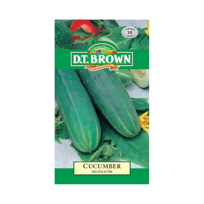 DT Brown Cucumber Spacemaster Seeds