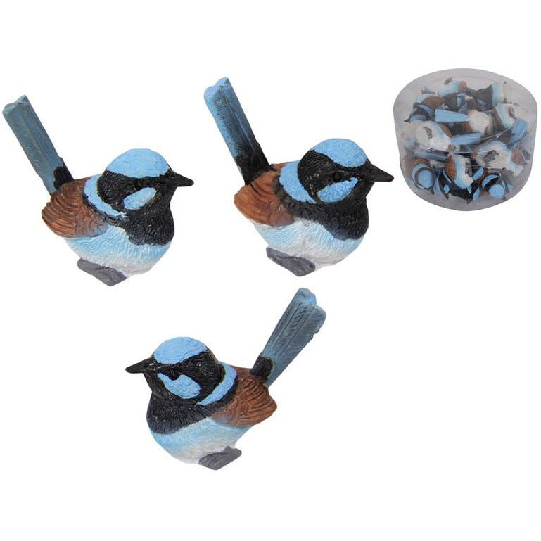 Miniature Fairy Wren at Dollars and Sense - alternate view 2