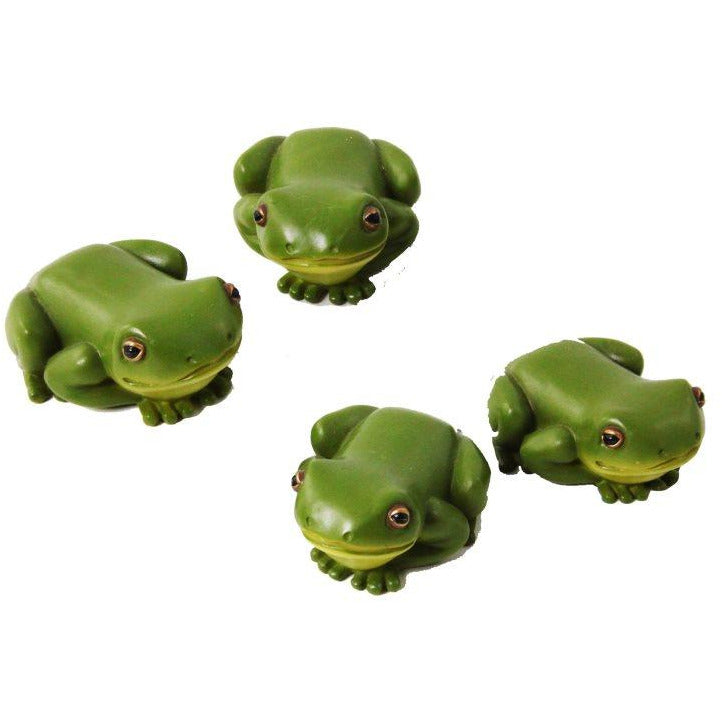 Rain Forest Frog - Dollars and Sense