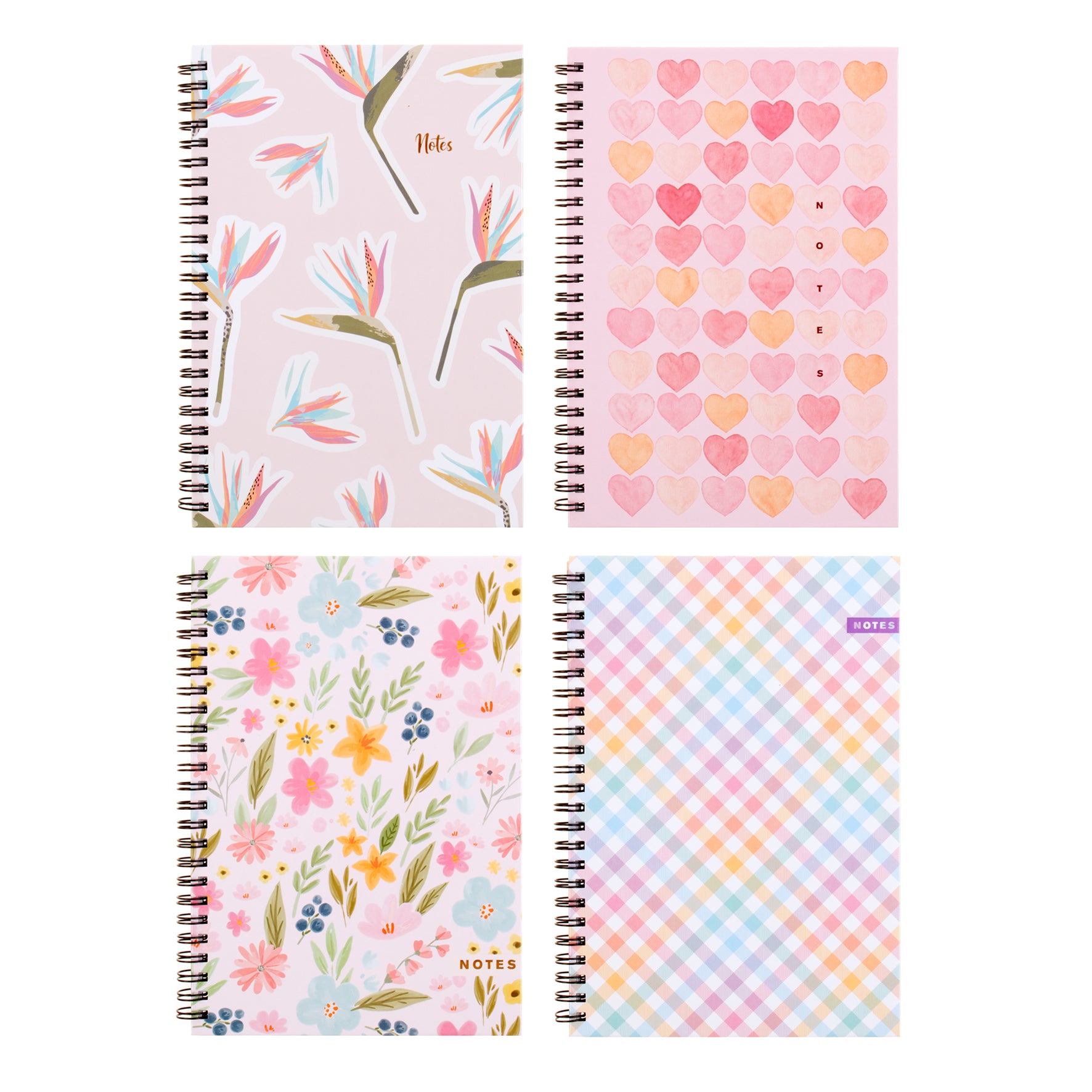 Spiral Notebook Hard Cover Printed - Assorted - Dollars and Sense