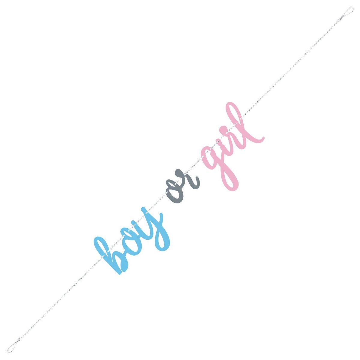 Baby Gender Reveal Boy or Girl - Banner - Dollars and Sense