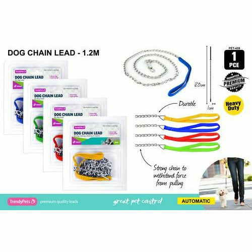 Dog Chain Lead - Dollars and Sense
