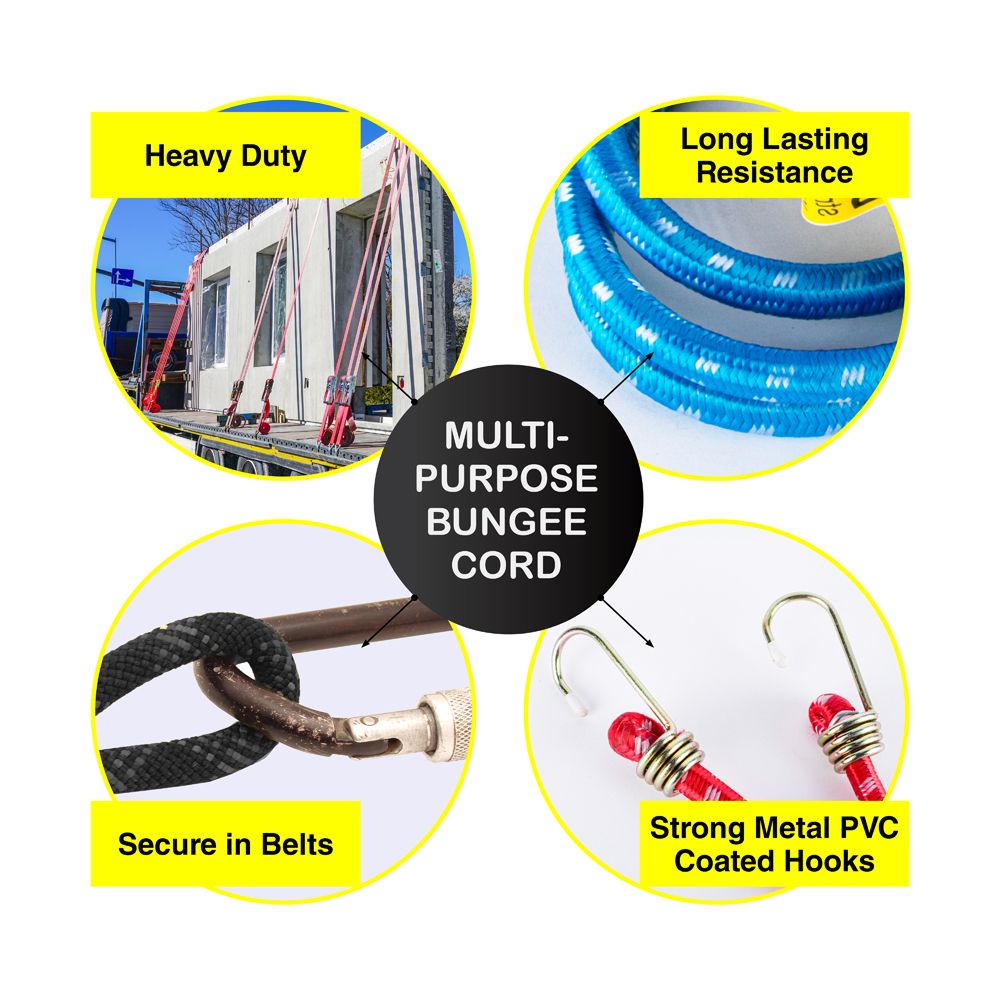 Bungee Cords - Red & Blue - Dollars and Sense