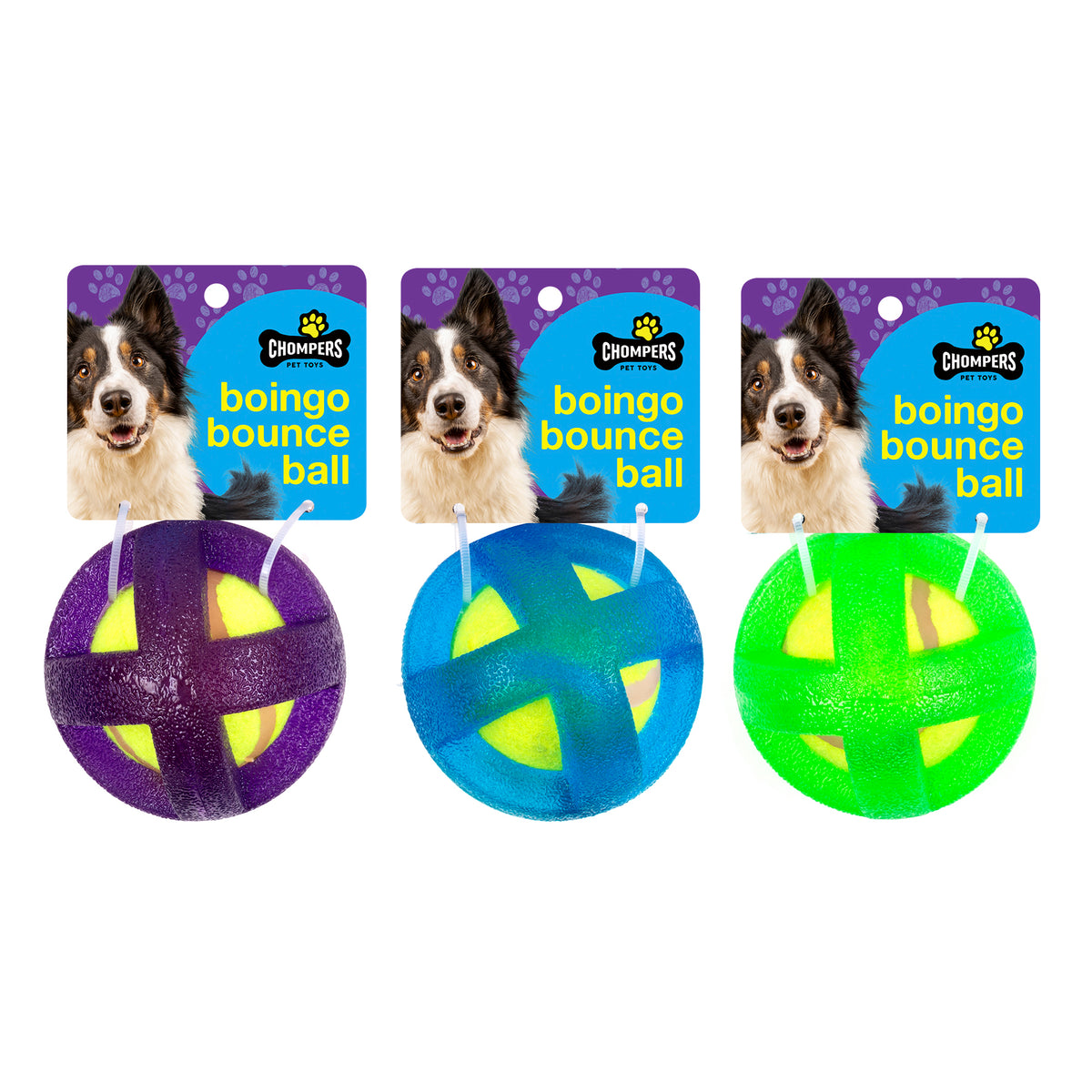 Dog Toy - Boingo Ball