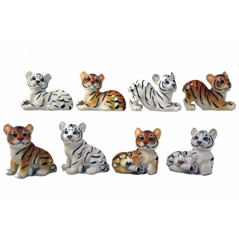 Cute Tiger Cub - Dollars and Sense