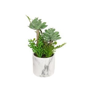 Succulent in Marble Pot 30cm