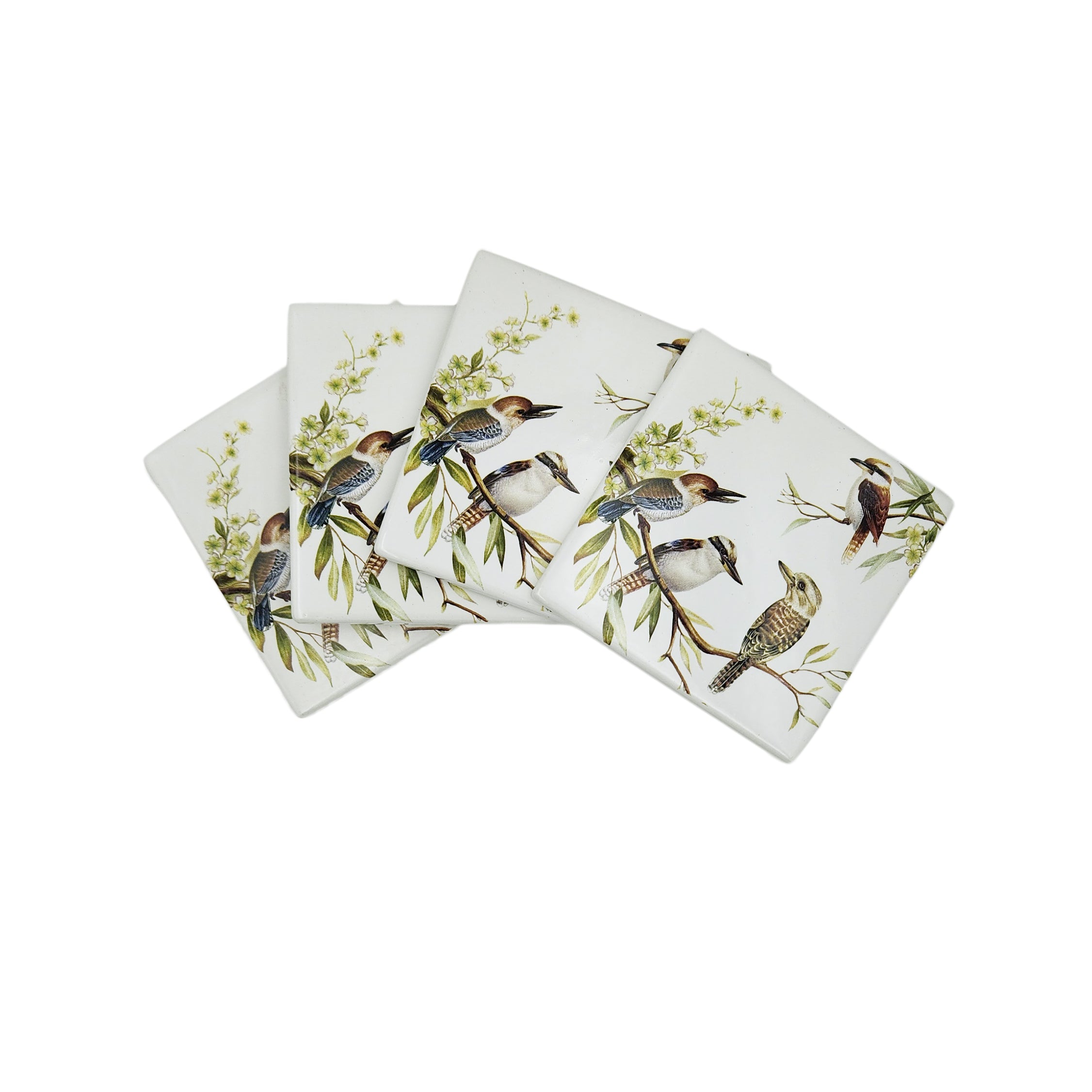 Kookaburra Square Coaster Set - Dollars and Sense