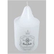 Unscented Candle - White - Dollars and Sense