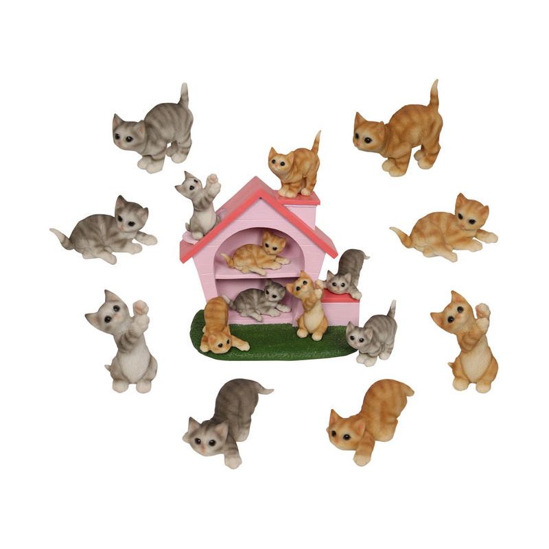 Cute Cat - Assorted - Dollars and Sense