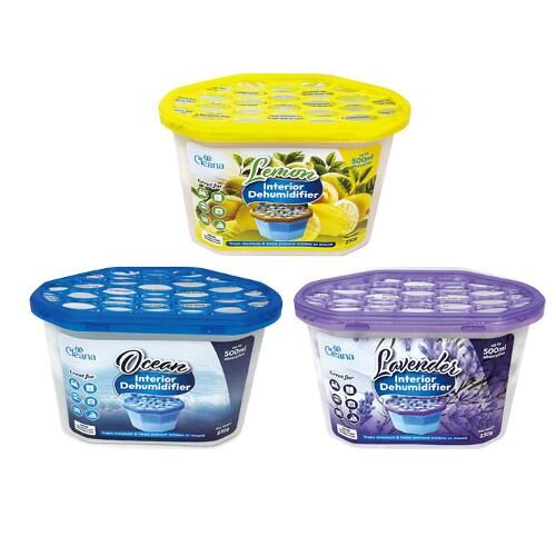 Interior Damp Rid Dehumidifier - Scented - Dollars and Sense