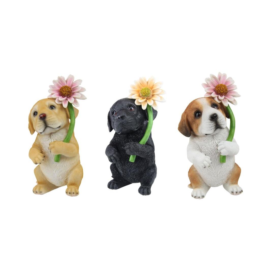 19cm Standing Dog w/Daisy Flower 3 Ass SKU DOGDAIFL - Dollars and Sense