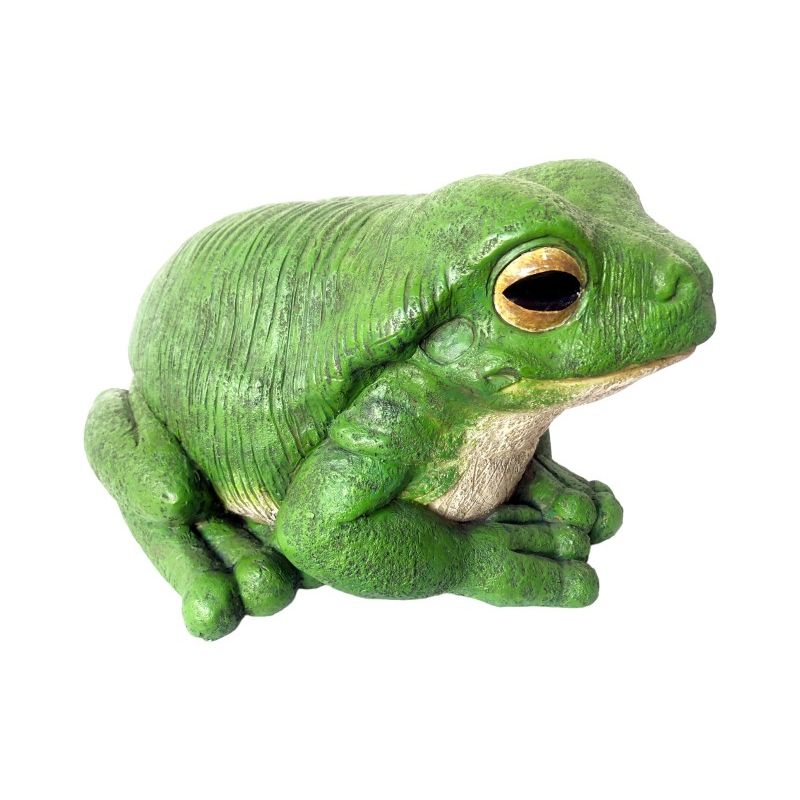43cm Jumbo Green Rainforest Garden Frog SKU FROGJUM - Dollars and Sense