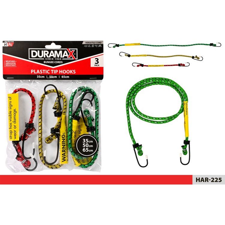 Bungee Cord - Dollars and Sense