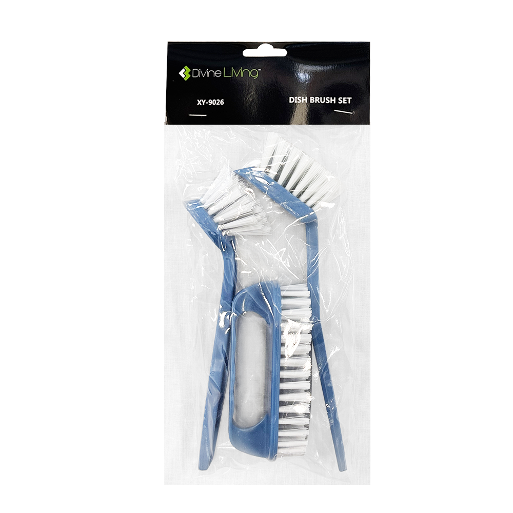 Dish Brush Set - Dollars and Sense