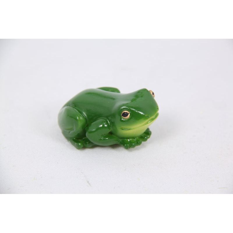 Magnet - Rainforest Lucky Frog - Dollars and Sense