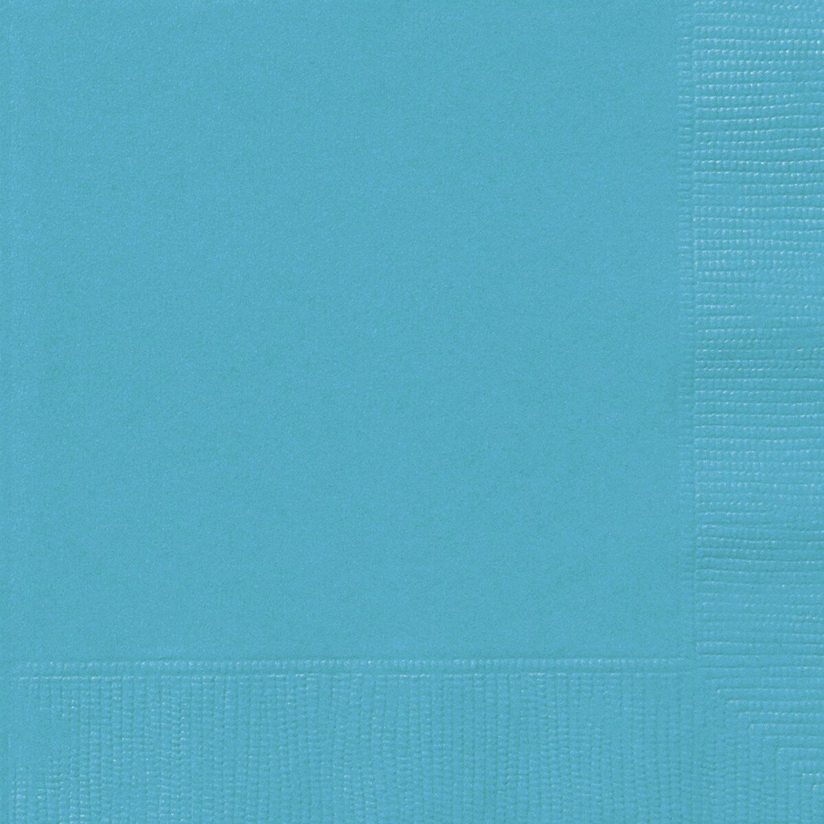 Lunch Napkins - Caribbean Teal - Dollars and Sense