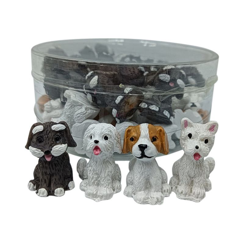 Miniature - Cute Dog - Dollars and Sense