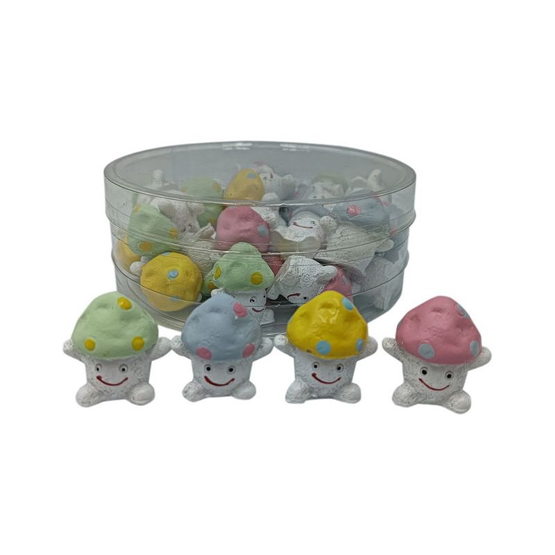 Miniature - Mushroom Fungi - Dollars and Sense