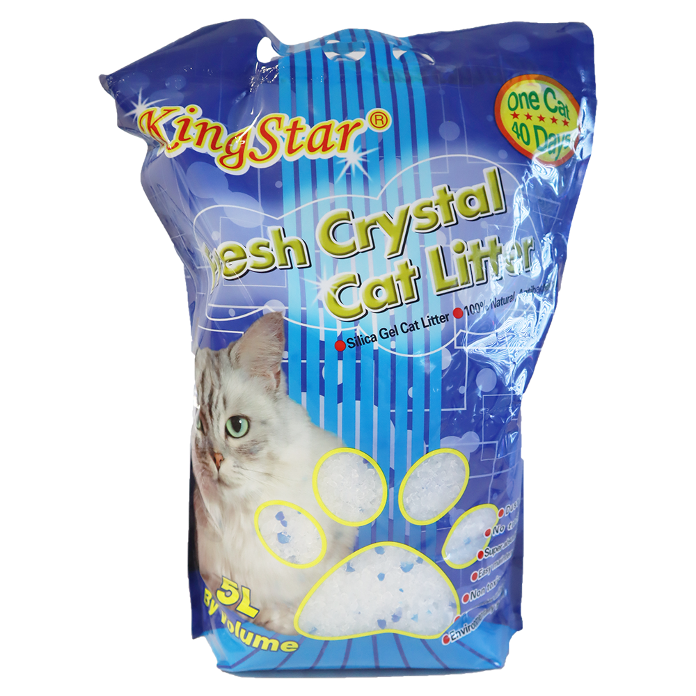 King Star - Kitty Litter - Dollars and Sense