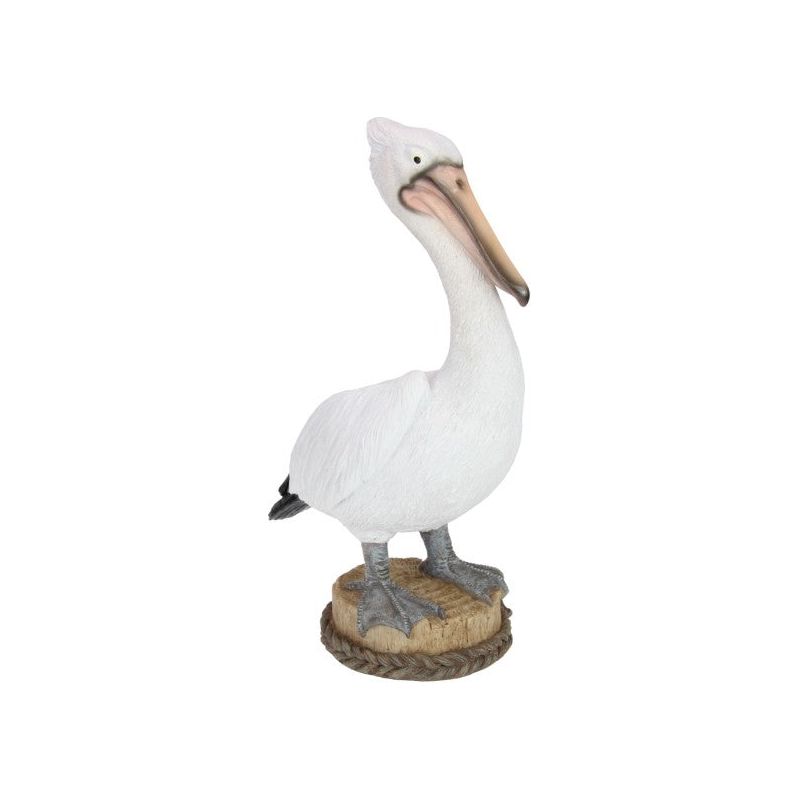 Pelican On Log with Rope - Standing - Dollars and Sense