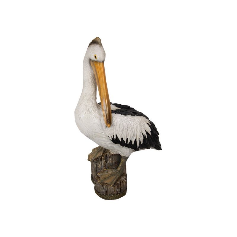 Pelican on Log - Dollars and Sense