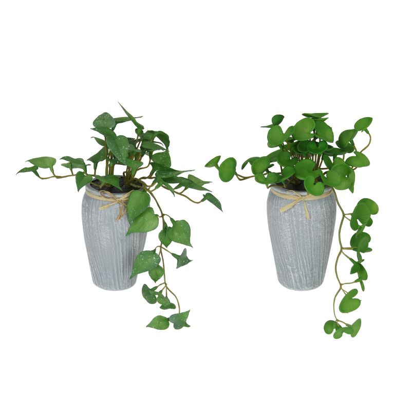 21cm Green Plant in Grey Decor Pot 2 Ass SKU PLAGRTG - Dollars and Sense
