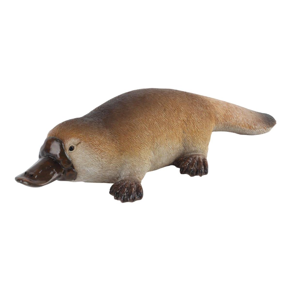 30x11cm Platypus SKU PLATGQU - Dollars and Sense